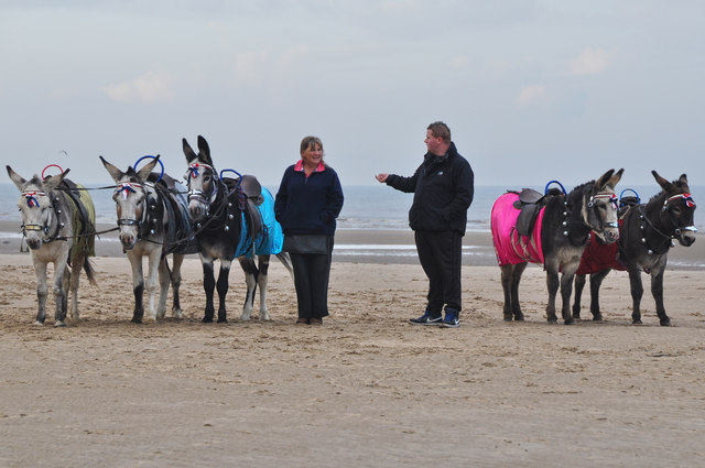 Blackpool donkey