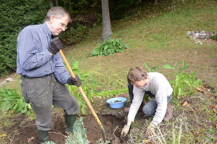 digging-up-garden