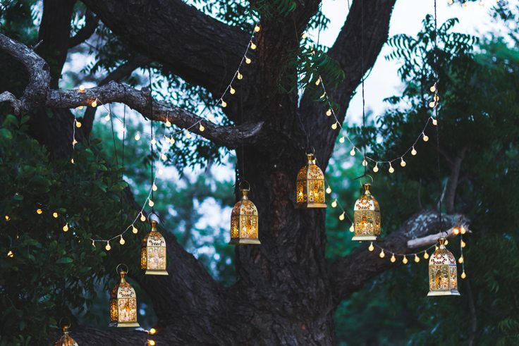 summer-garden-lights